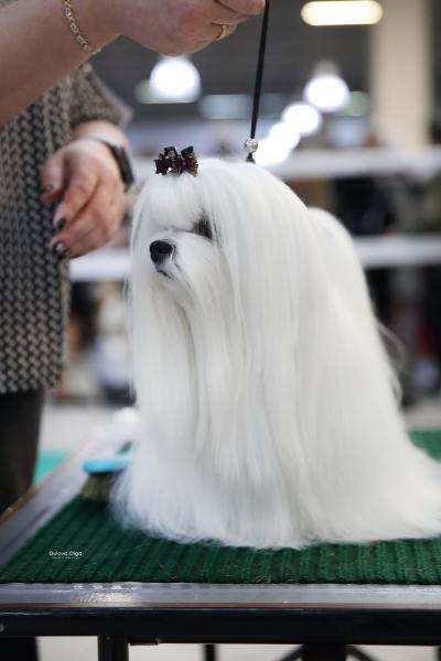Image 30 10 22 01 59 2