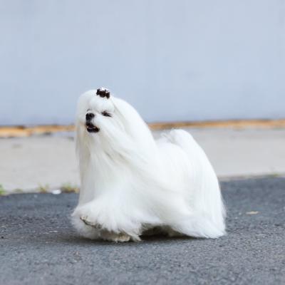 Image 30 10 22 01 59 4